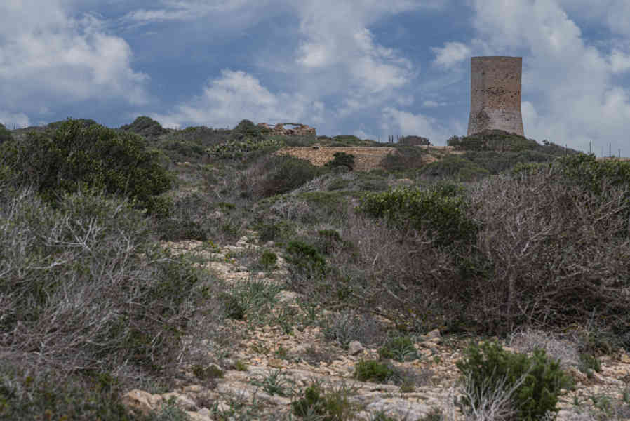 Mallorca - Llucmajor 33 - torre de s'Estelella.jpg